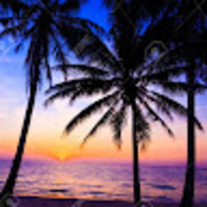 Meet your Posher, Jacie